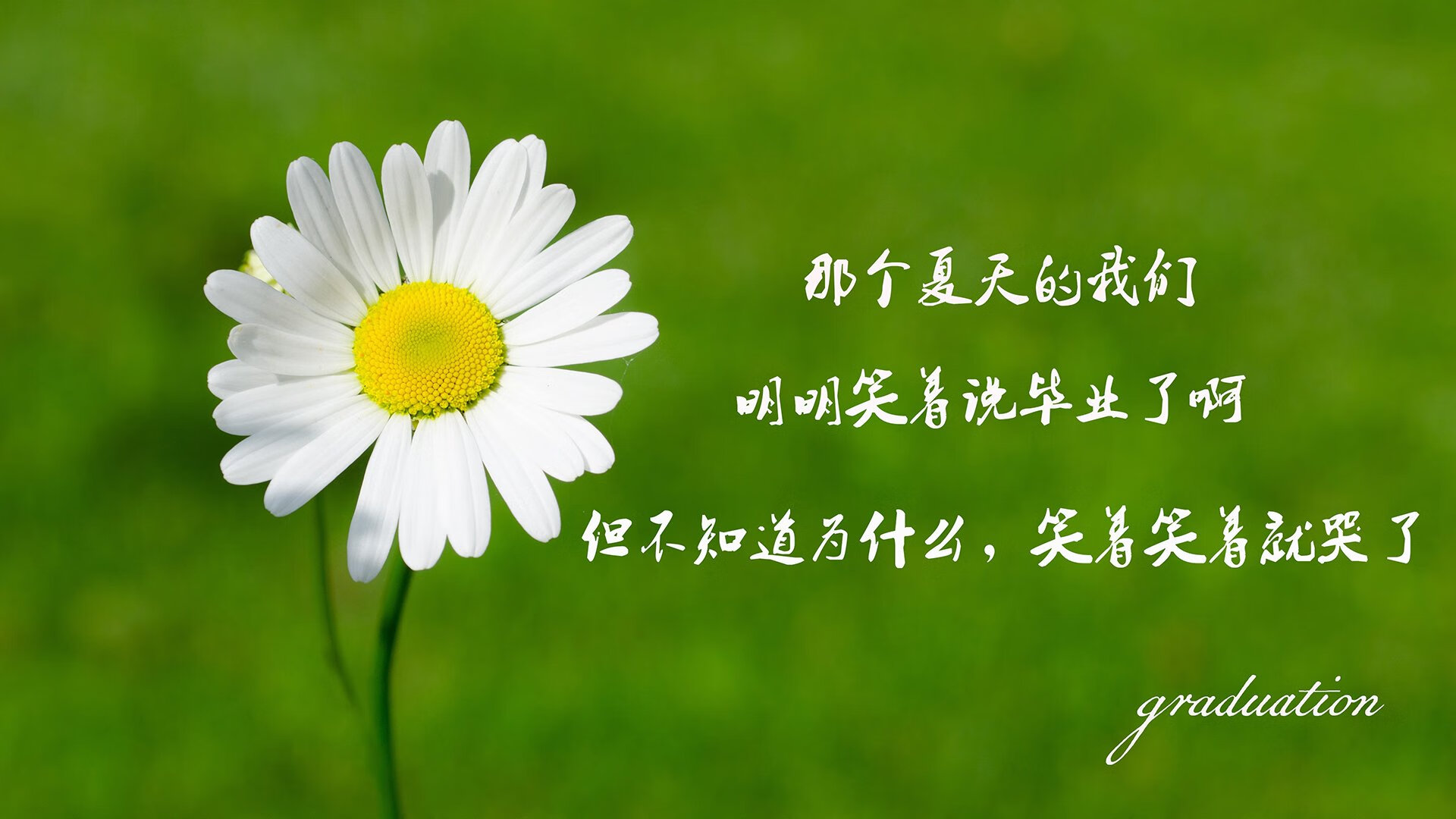 KAIYUNAPP-_云顶高尔夫公开赛：绿茵场上的巅峰对决_，云顶高尔夫乡村俱乐部