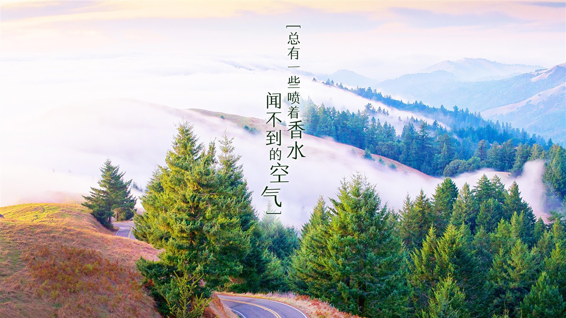 _星空下的露天瑜伽：平衡身心的天然良方_，星空下的露营有感