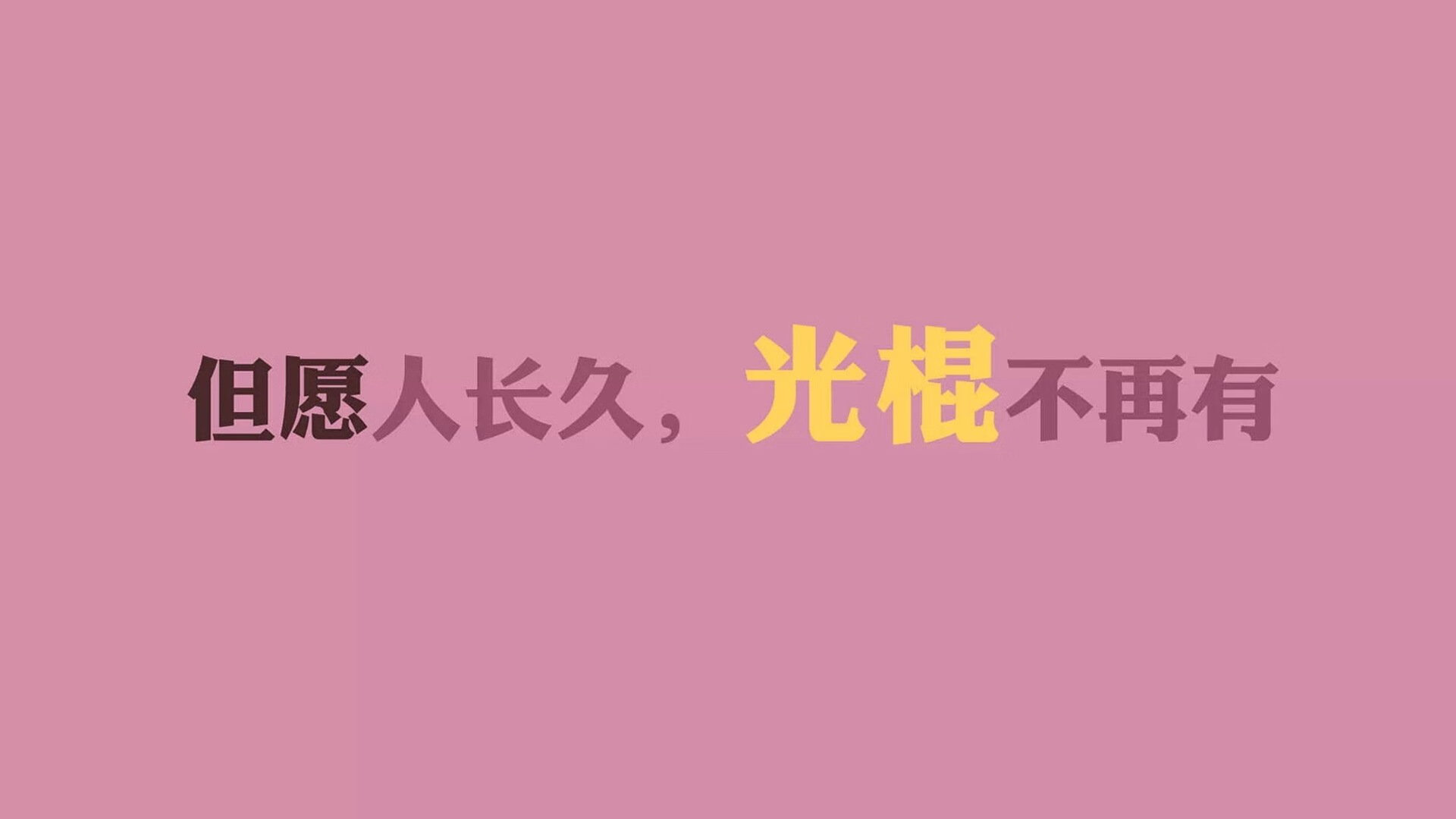 荷兰骑手 Dinja van Liere 在巴黎奥运会盛装舞步比赛中获得第六名，创造个人最佳成绩。