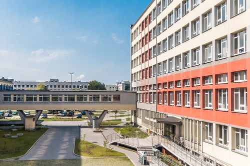 kaiyun开云·官方网站-中国篮球青训教练员专业能力提升及培训体系建设，篮球青训师资格证好考么