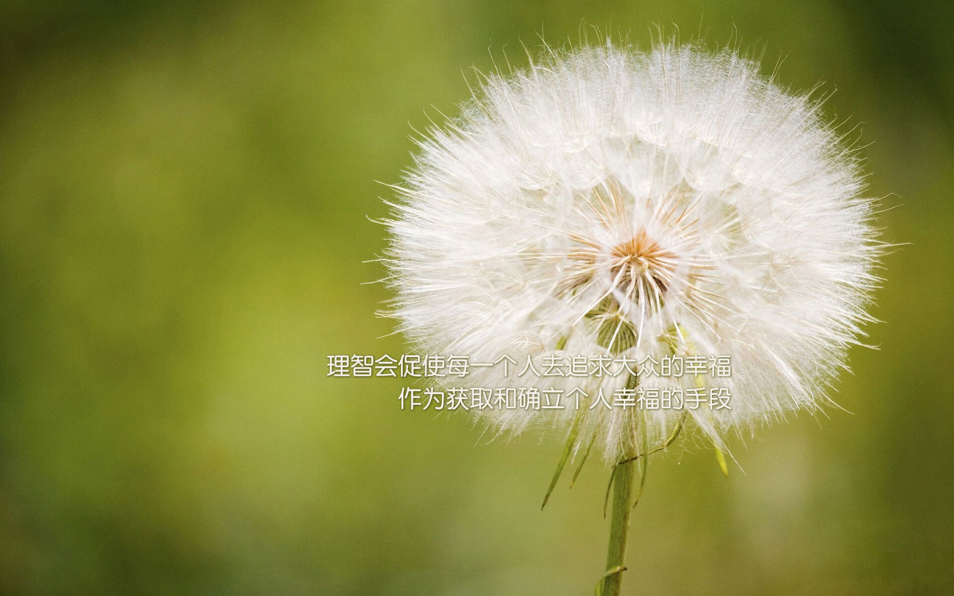 奥卡拉汉100米自由泳决赛表现无懈可击,奥卡拉汉州长