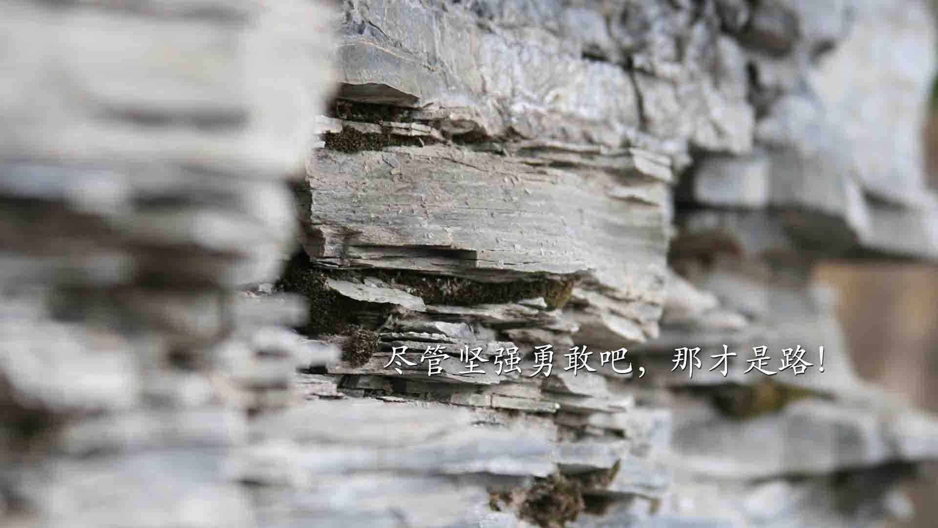 KAIYUN 中国大陆-跳水组合默契比利时夺得好成绩,各国跳水对比