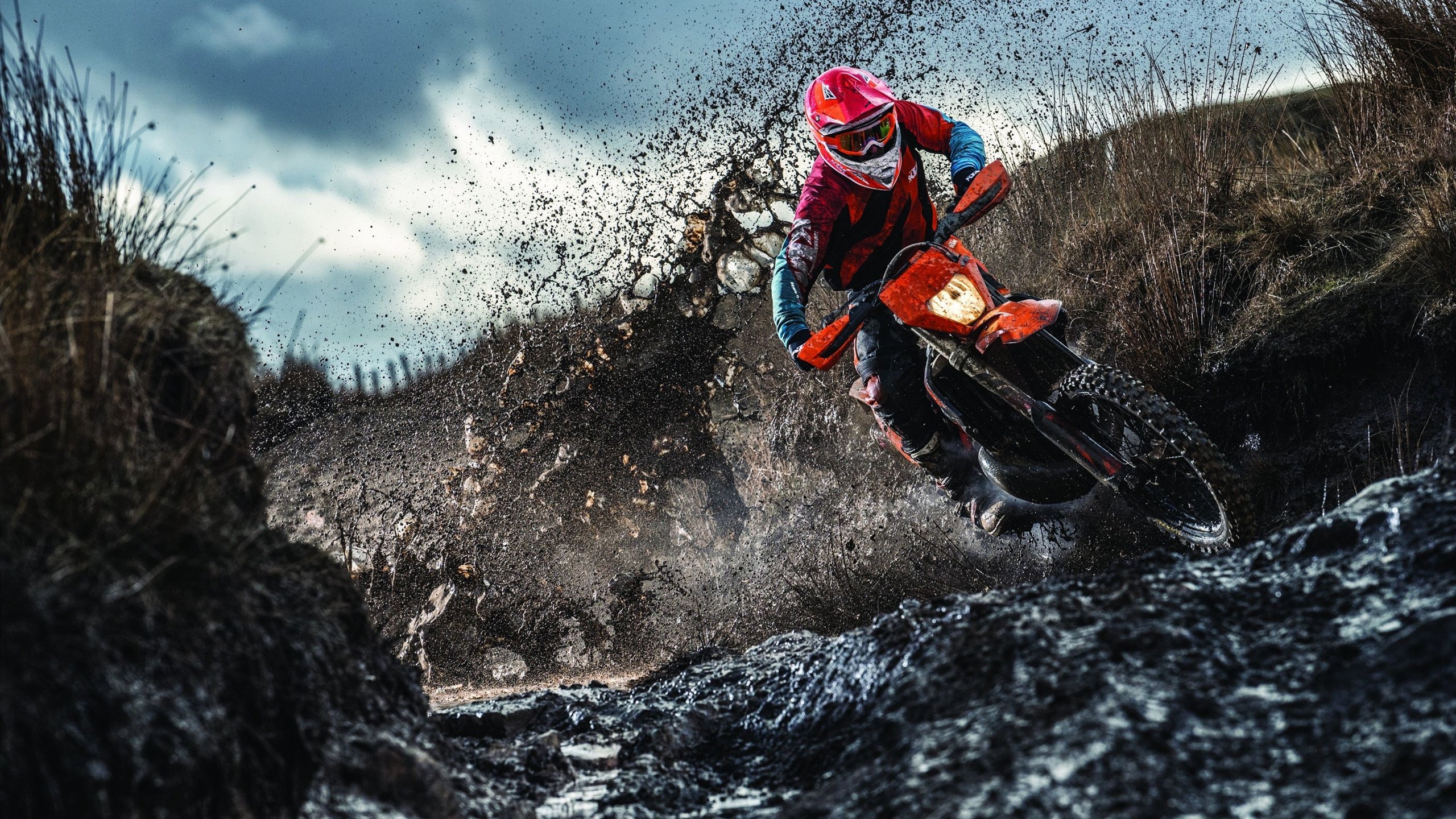 开云官网在线-伊朗女足雪地穿花绕树破门，全网热传，伊朗女球迷看足球赛