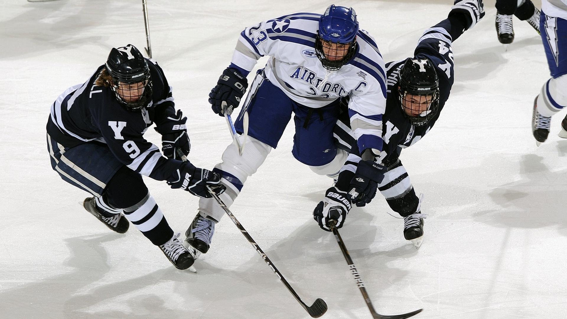 开云·Kaiyun网页版-特色青训“生态圈”在全国多地逐步筑牢，行业格局进一步优化